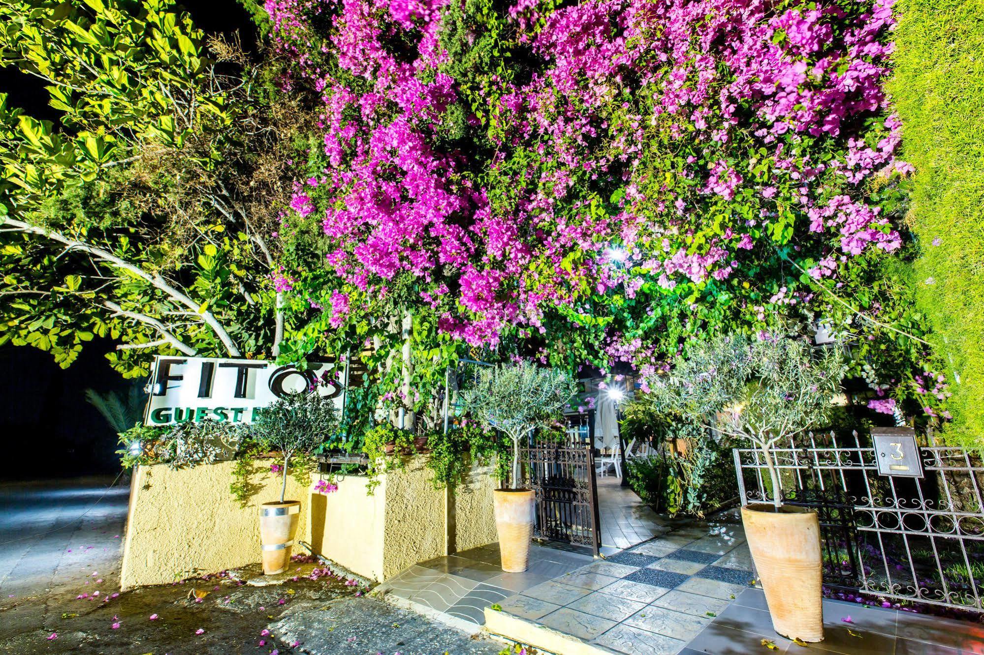 Fitosinn Hotel Geroskipou Luaran gambar